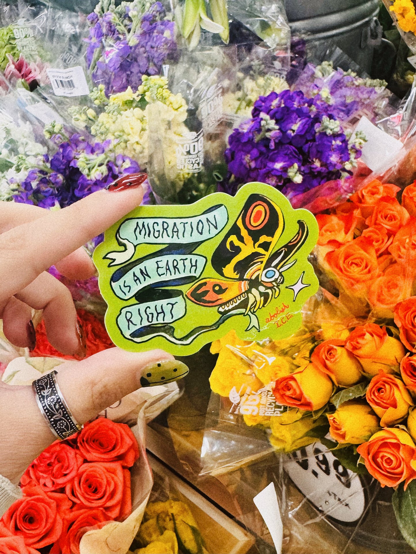 MOTHRA ʚїɞ Migration is an Earth Right Sticker